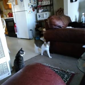 Meet your Posher, Cindy